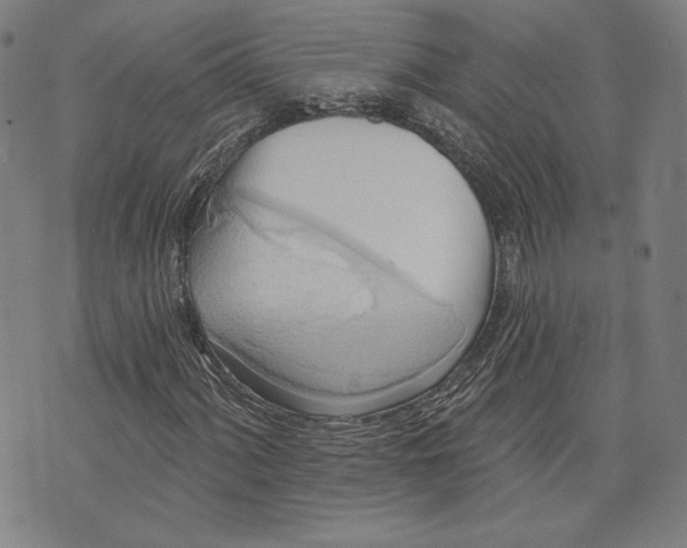 X0000076221060200610191527