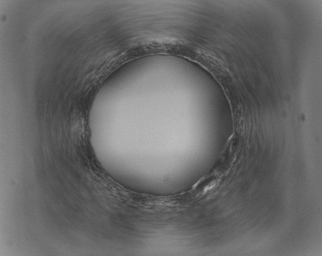 X0000076221061200610191527