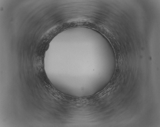 X0000076221062200610191527