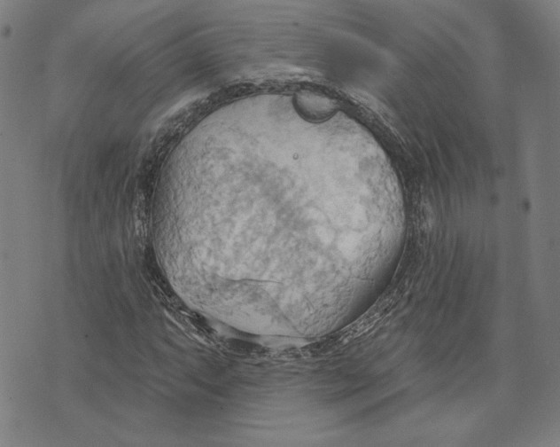 X0000076221063200610191527