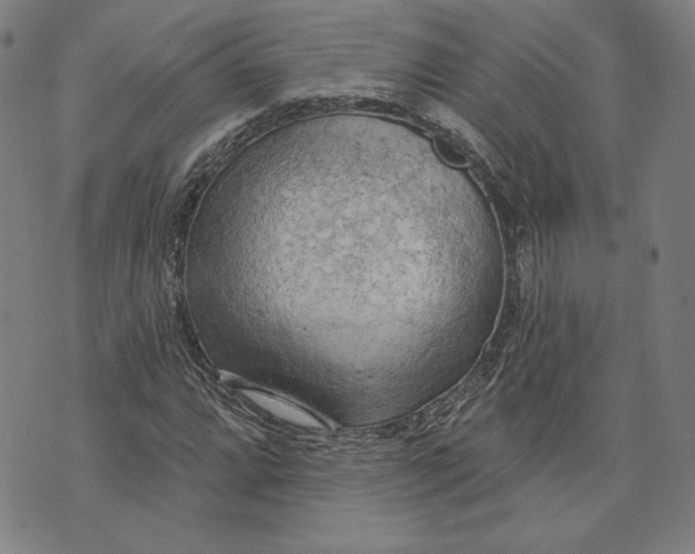 X0000076221064200610191527