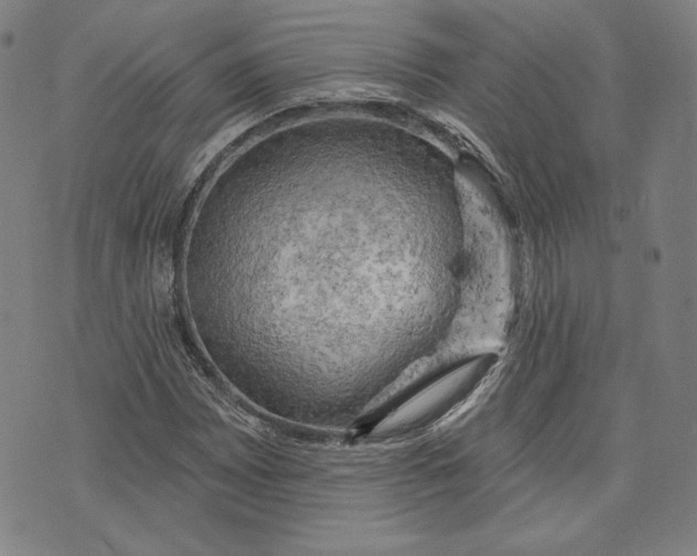 X0000076221065200610191527