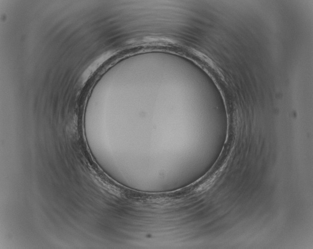 X0000076221066200610191527