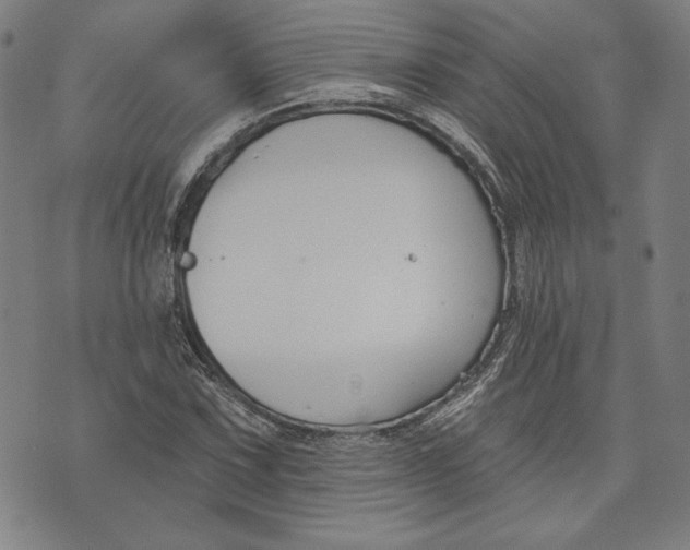 X0000076221067200610191527