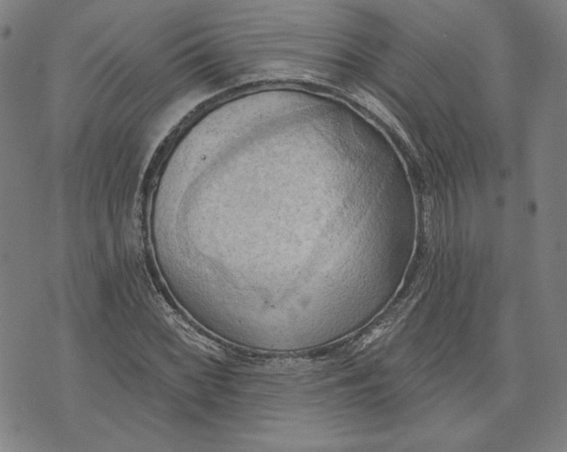 X0000076221068200610191527