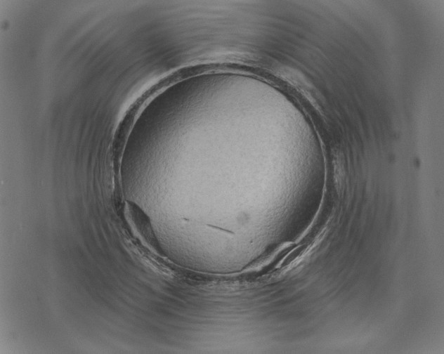 X0000076221069200610191527