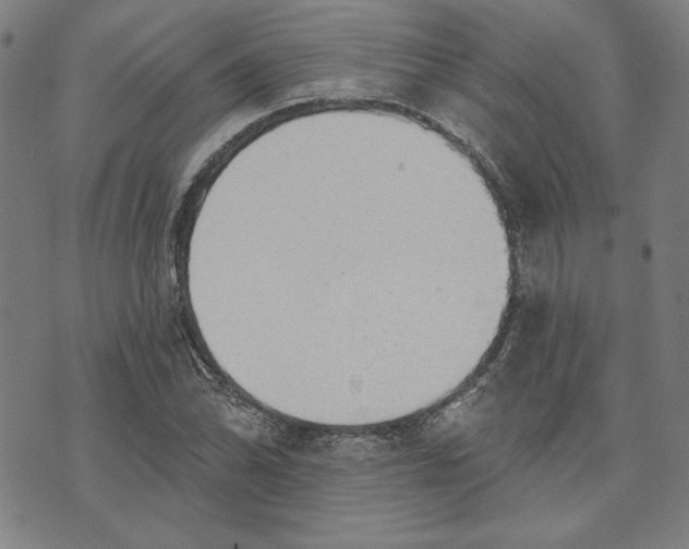 X0000076221070200610191527