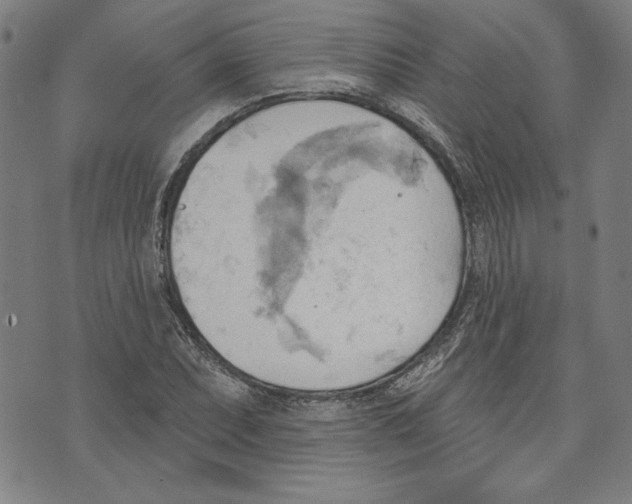 X0000076221071200610191527