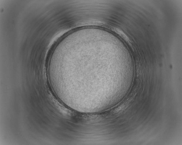 X0000076221072200610191527