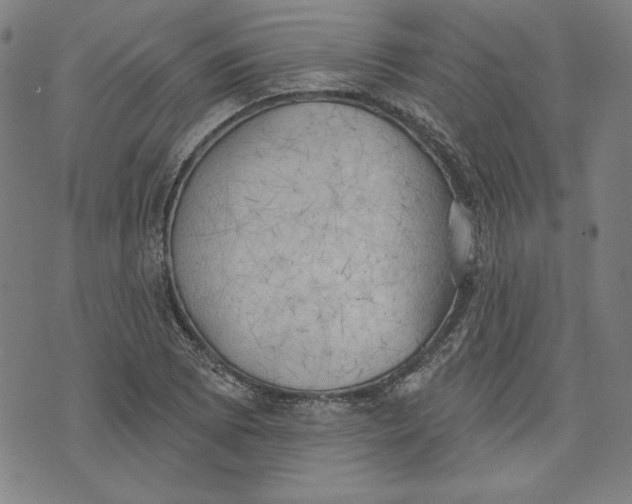 X0000076221073200610191527