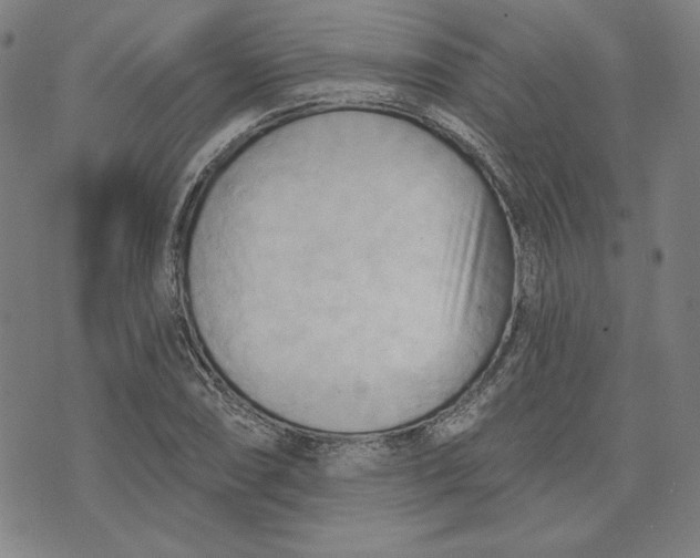 X0000076221074200610191527