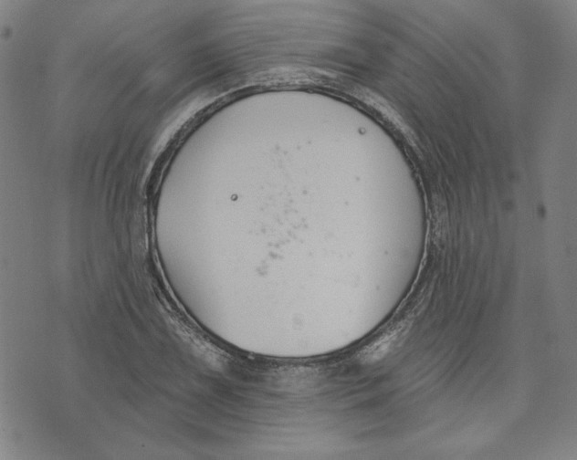 X0000076221075200610191527