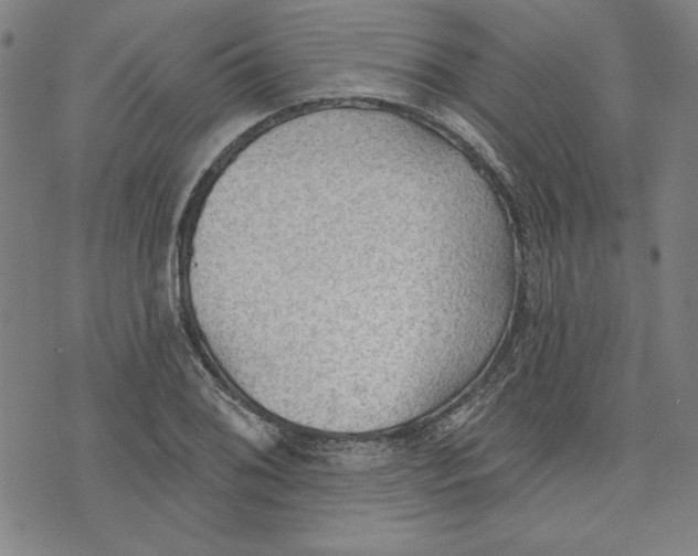 X0000076221076200610191527