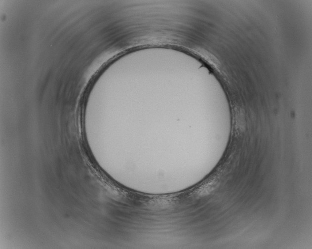 X0000076221078200610191527