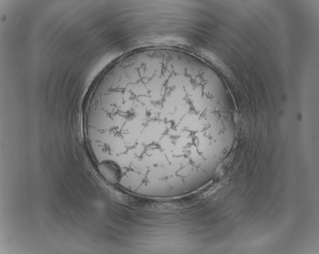 X0000076221079200610191527