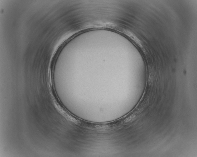 X0000076221080200610191527