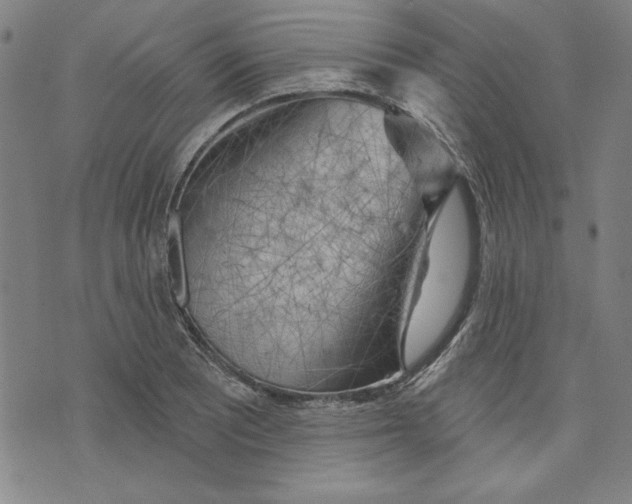 X0000076221081200610191527