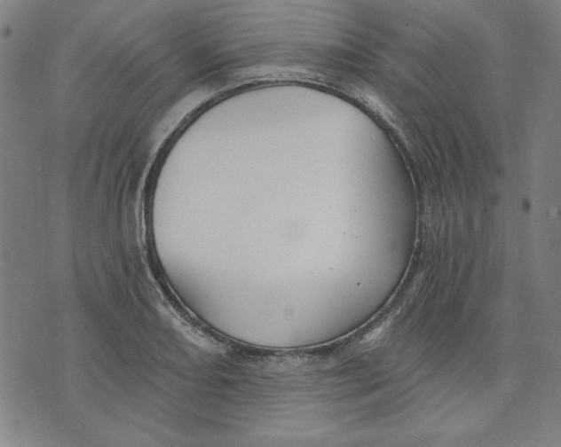 X0000076221082200610191527