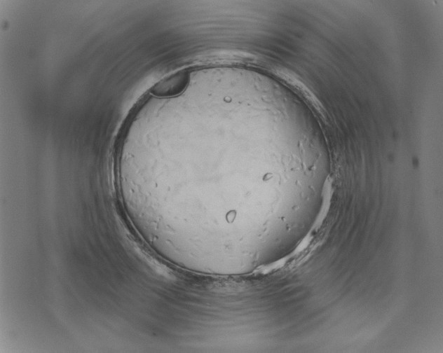 X0000076221083200610191527