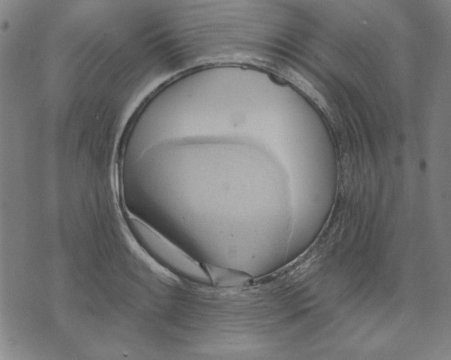 X0000076221084200610191527