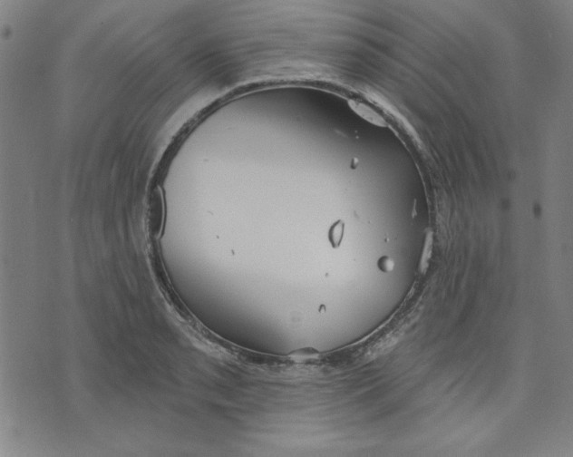 X0000076221085200610191527