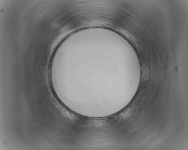 X0000076221086200610191527