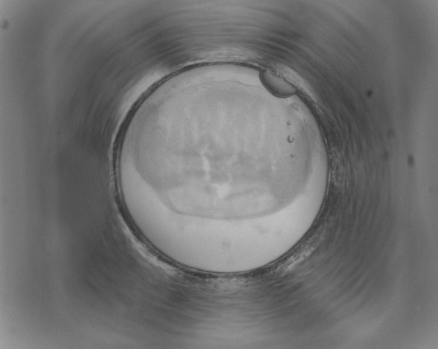 X0000076221087200610191526