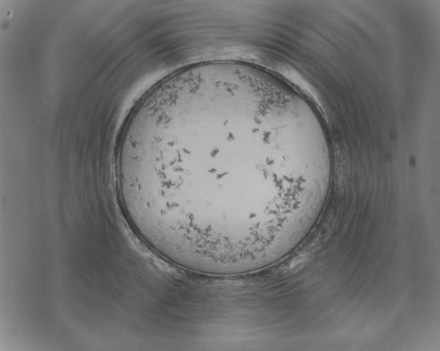 X0000076221088200610191526