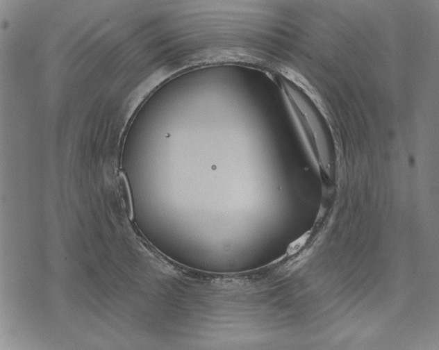 X0000076221089200610191526