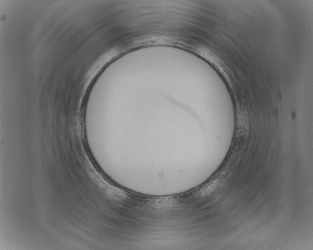 X0000076221090200610191526