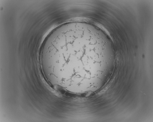 X0000076221091200610191526