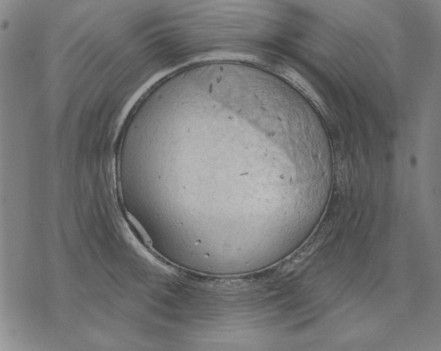 X0000076221092200610191526