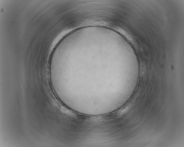 X0000076221094200610191526