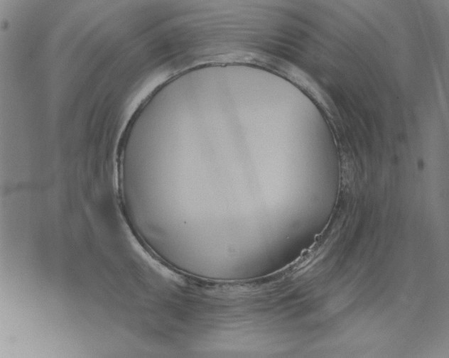 X0000076221095200610191526