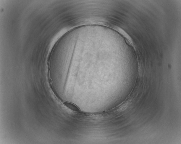 X0000076221096200610191526