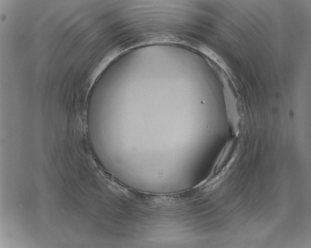 X0000076221097200610191526