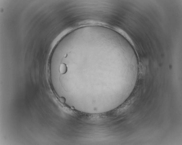 X0000076221098200610191526