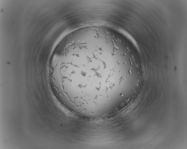 X0000076221099200610191526