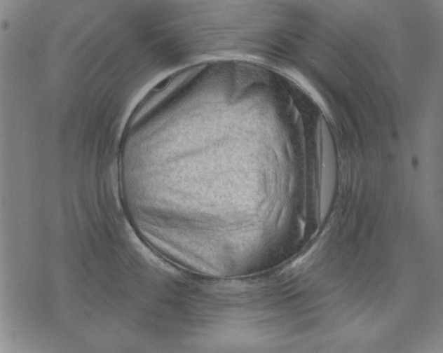 X0000076221100200610191526