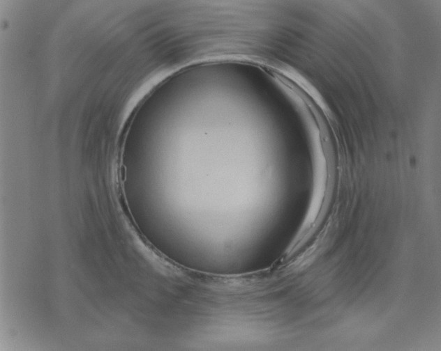 X0000076221101200610191526