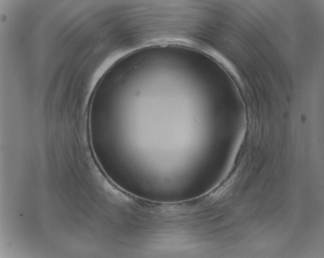 X0000076221102200610191526