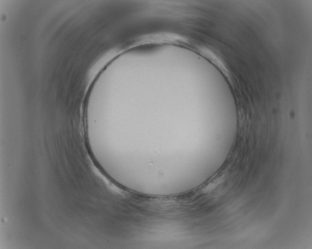 X0000076221103200610191526