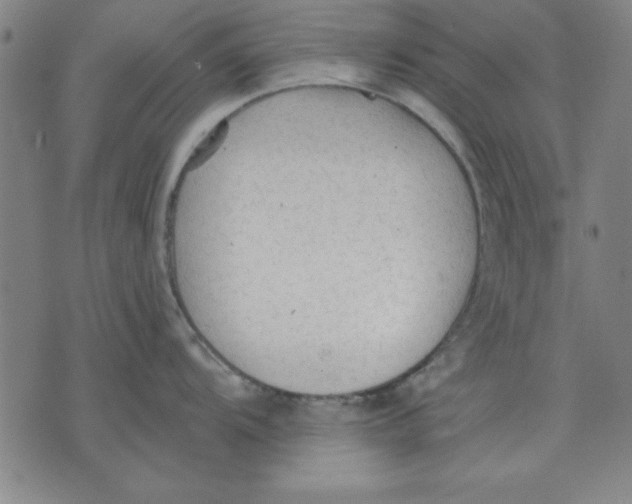 X0000076221104200610191526