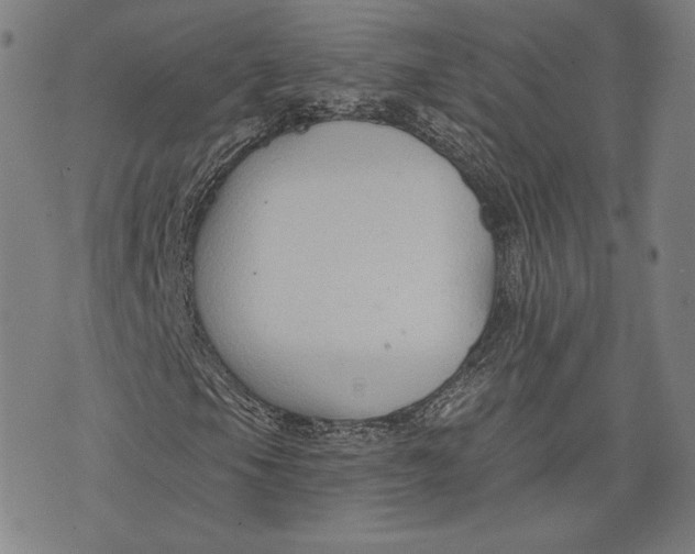 X0000076221105200610191525