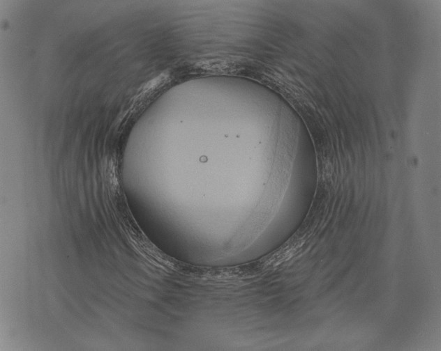 X0000076221106200610191525