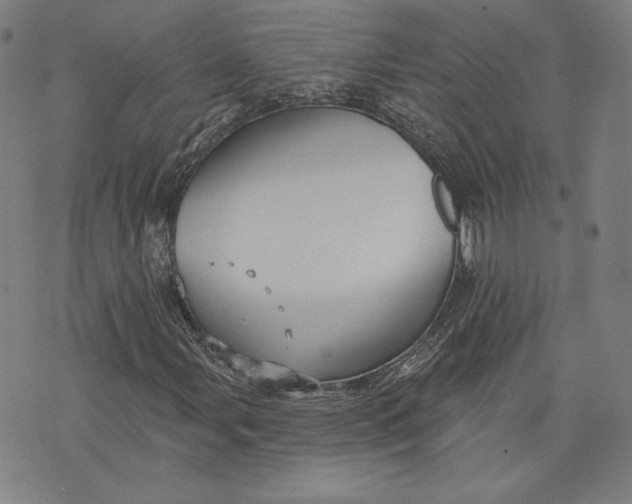 X0000076221107200610191525