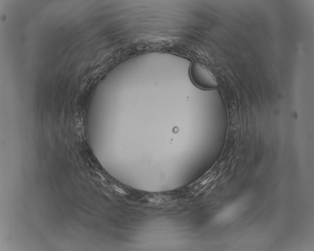 X0000076221109200610191525