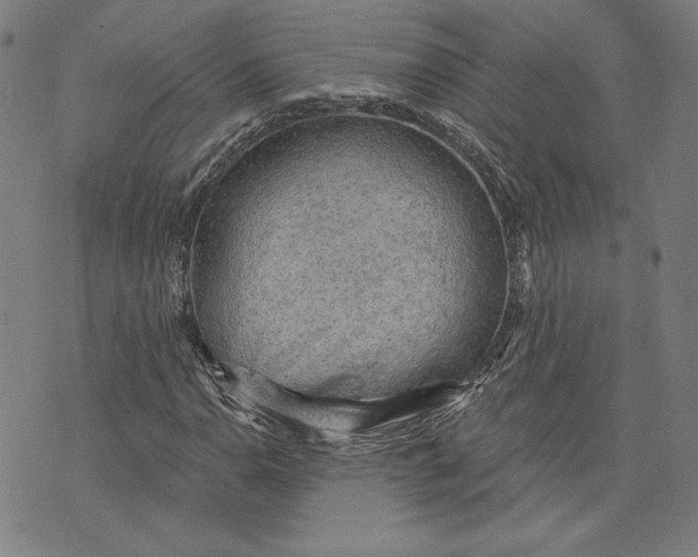 X0000076221110200610191526