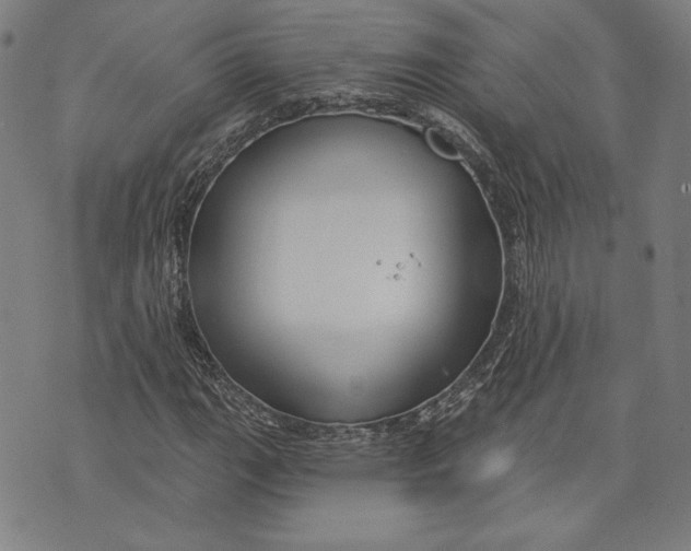 X0000076221111200610191526