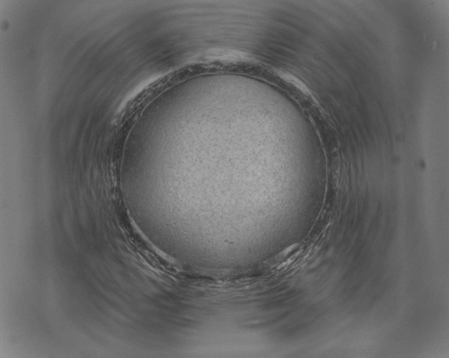 X0000076221112200610191526